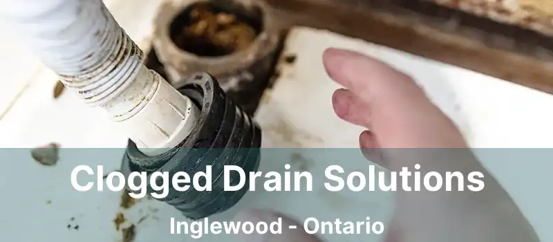  Clogged Drain Solutions Inglewood - Ontario