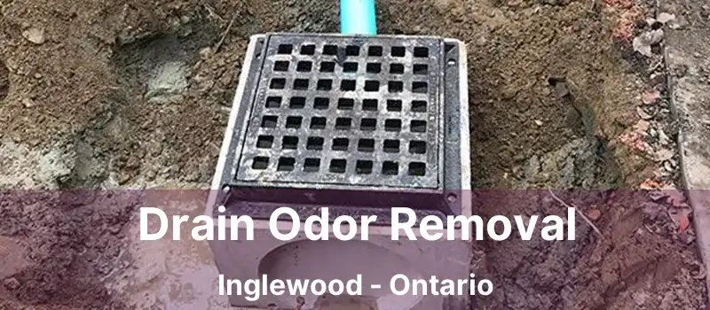  Drain Odor Removal Inglewood - Ontario