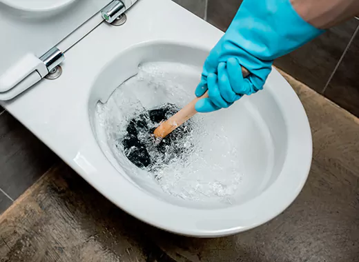 Drain Power Flush Services in Inglewood, ON