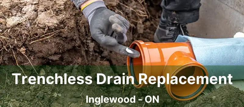  Trenchless Drain Replacement Inglewood - ON